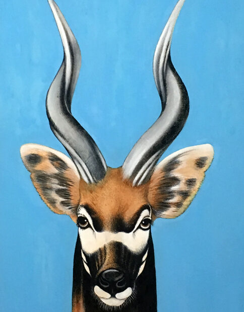 Empala africano