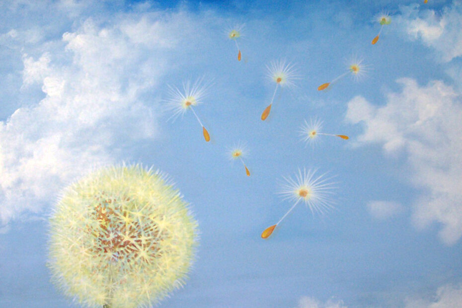 Ricordi nel vento